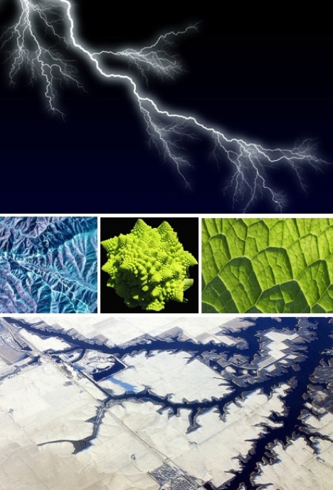 fractals-in-nature
