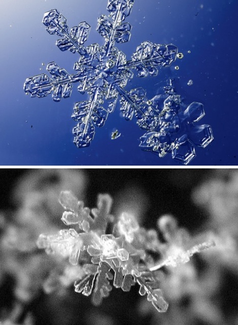 snowflakes