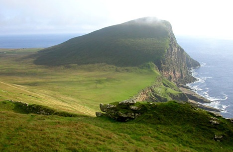 foula-macro
