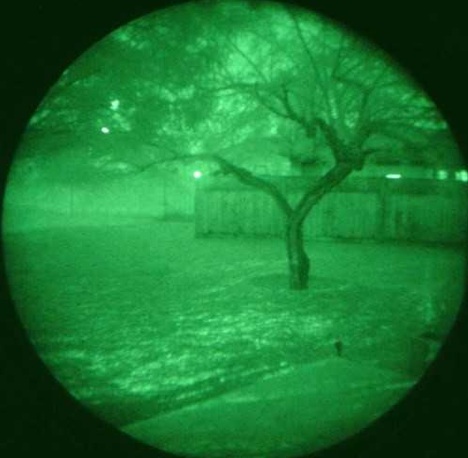 night-vision-cats
