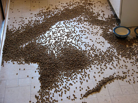 dogfood