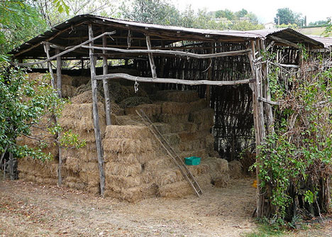 straw