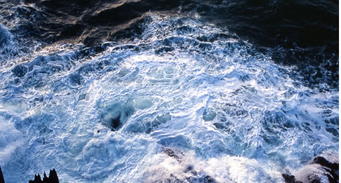 ligurian