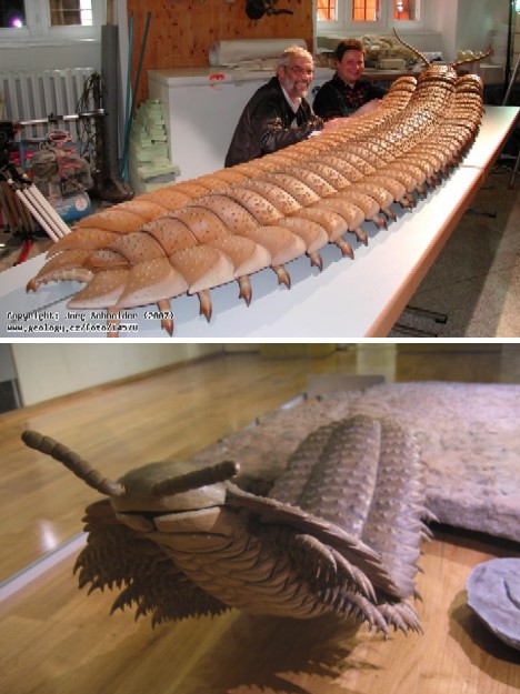 giant centipede Arthropleura