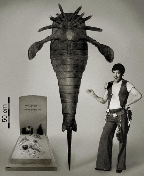  Jaekelopterus rhenaniae