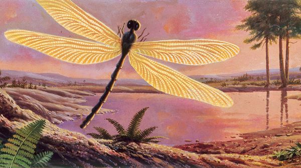 Giant Dragonflies Carboniferous