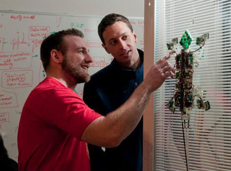 animal-biomimicry-gecko-feet-robot-climb