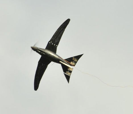 animal-biomimicry-roboswift-micro-airplane