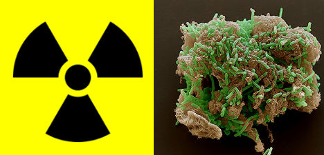 beneficial-bacteria-geobacter-radiation