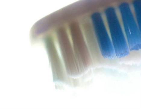 beneficial-bacteria-nylon
