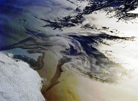 beneficial-bacteria-oil-spill