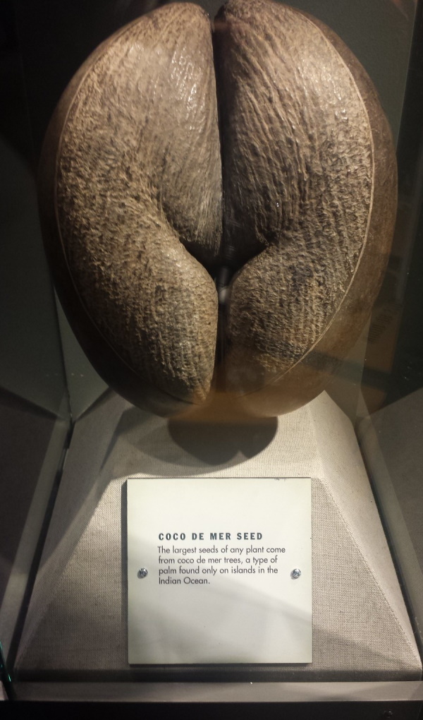 Crunch Time: The World’s 9 Most Unusual Nuts