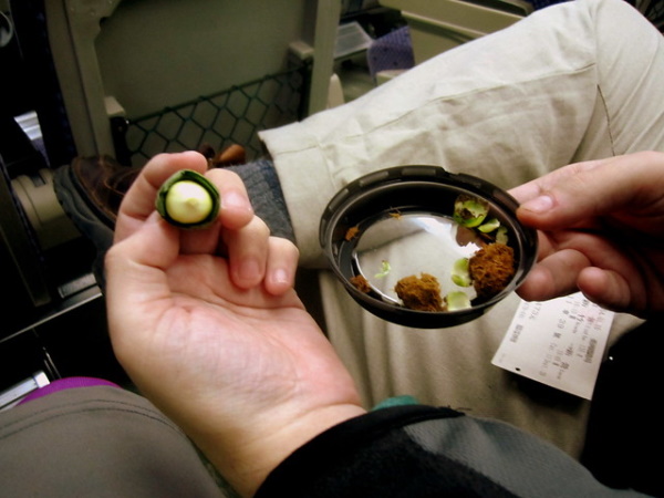 Crunch Time: The World’s 9 Most Unusual Nuts