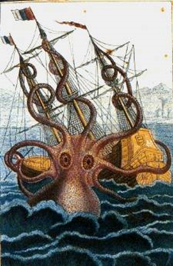 Armed & Fabulous: The World’s 8 Most Amazing Squids