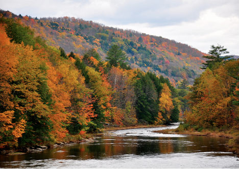 winter-signs-fall-foliage