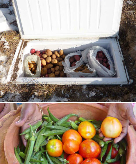 Off Grid Low Tech Root Cellar Fridge