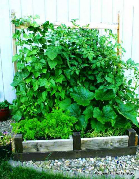 Raised Garden Bed Frame