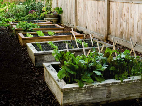 Raised Garden Beds Popular Mechanics
