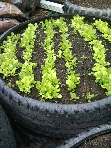 Raised Garden Beds Tires