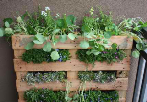 Raised Garden Beds Vertical Pallet