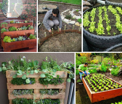 Raised Garden Beds main