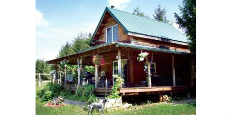 Cheap Eco Houses Timber Cabin 1
