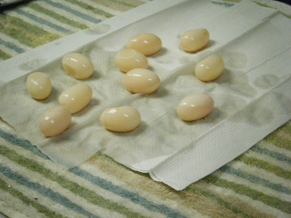 It’s No Yolk: 7 Amazing Edible Non-Chicken Eggs