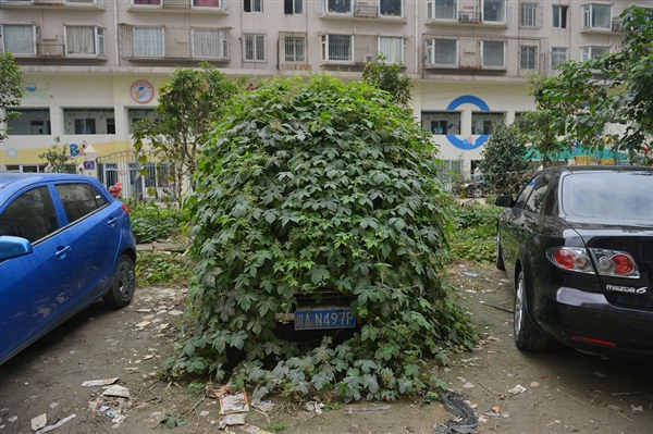 Really Green Vehicles: 7 Amazing Parked Zombie Cars