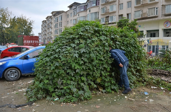 Really Green Vehicles: 7 Amazing Parked Zombie Cars