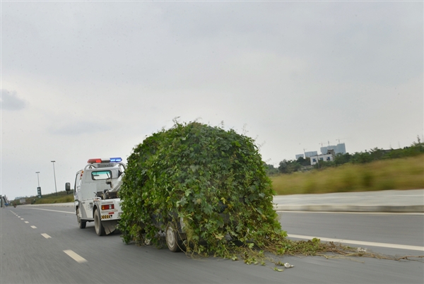 Really Green Vehicles: 7 Amazing Parked Zombie Cars