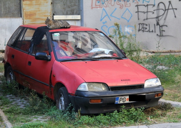 Really Green Vehicles: 7 Amazing Parked Zombie Cars