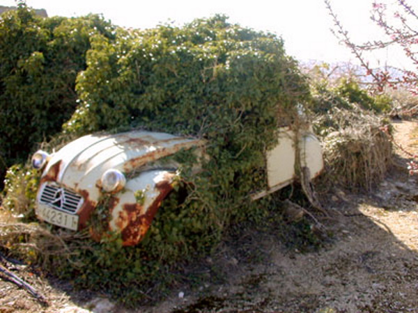 Really Green Vehicles: 7 Amazing Parked Zombie Cars