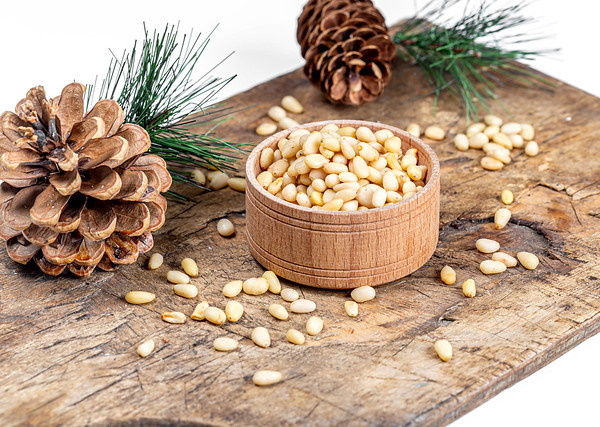Pine Dining: 7 Amazing Edible Evergreen Foods and Drinks