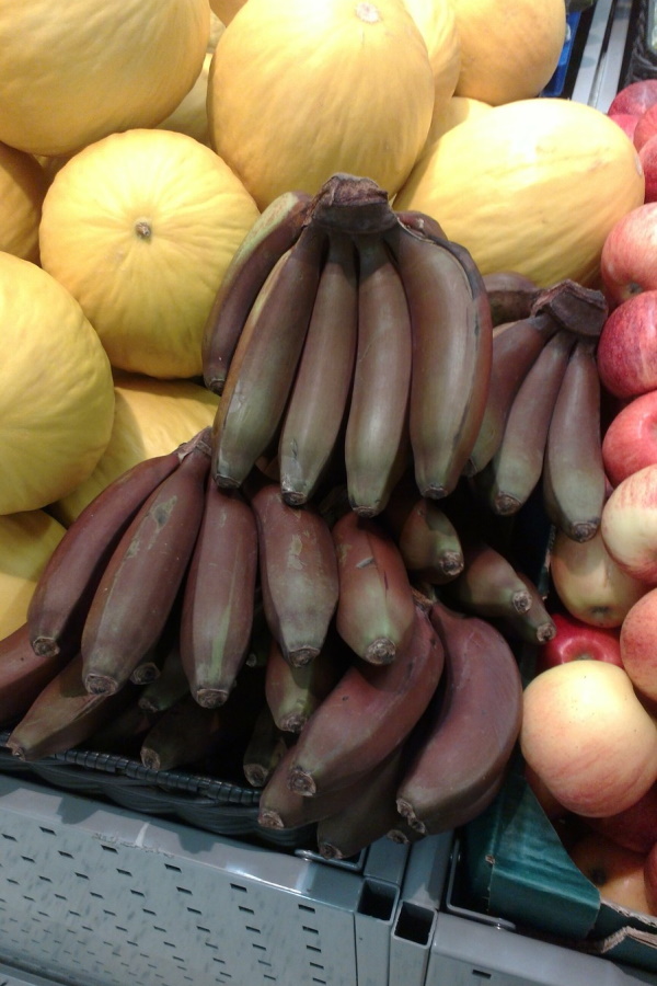 Yellow Fever Reliever: 7 Blight-Resistant Bananas