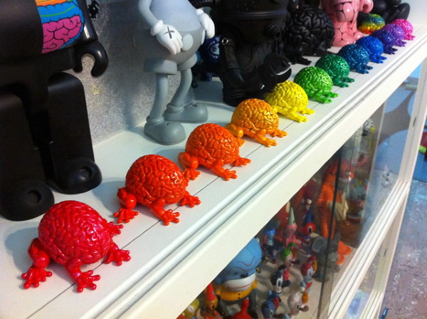 Jumping Brains: The Smartest Frogs In The Room