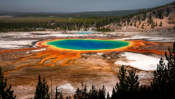 Cellular Creature Carpets: 8 Amazing Microbial Mats