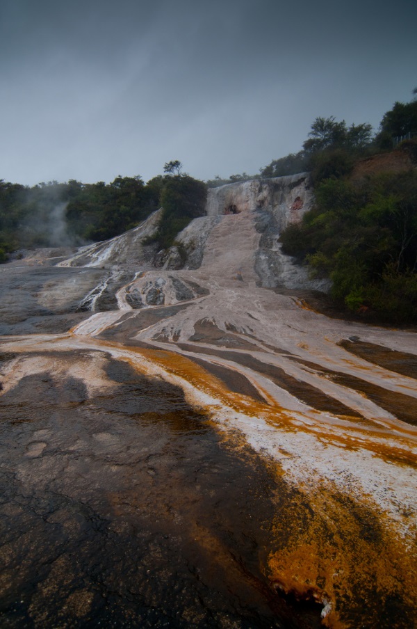 Cellular Creature Carpets: 8 Amazing Microbial Mats