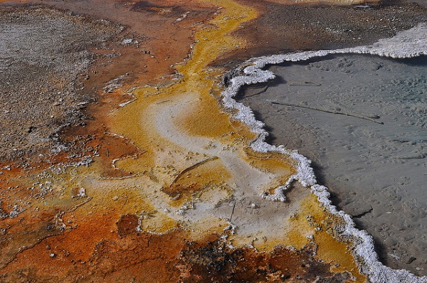 Cellular Creature Carpets: 8 Amazing Microbial Mats