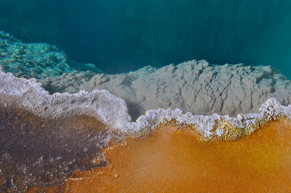 Cellular Creature Carpets: 8 Amazing Microbial Mats