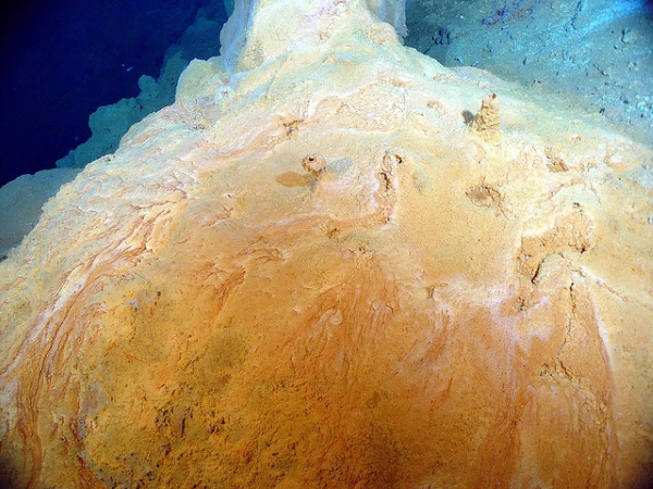 Cellular Creature Carpets: 8 Amazing Microbial Mats