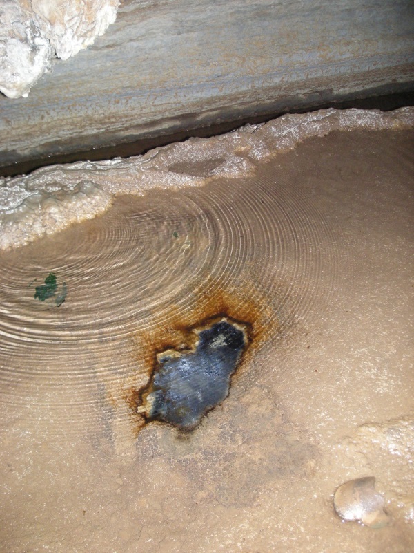 Cellular Creature Carpets: 8 Amazing Microbial Mats