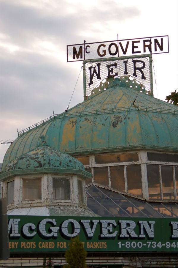 Supplanted: 8 Overgrown & Abandoned Greenhouses