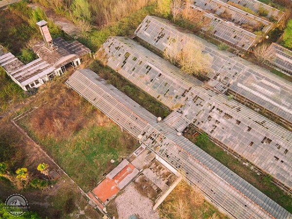 Supplanted: 8 Overgrown & Abandoned Greenhouses