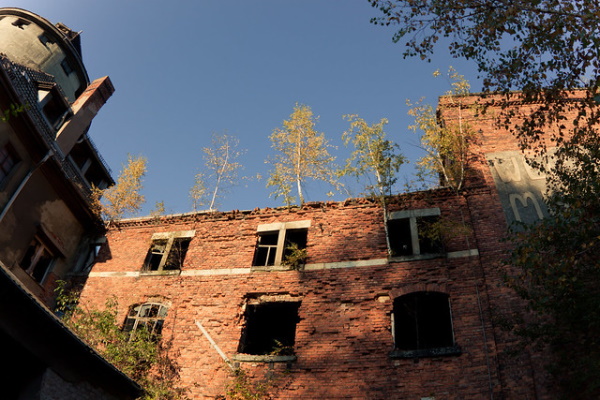Supplanted: 8 Overgrown & Abandoned Greenhouses