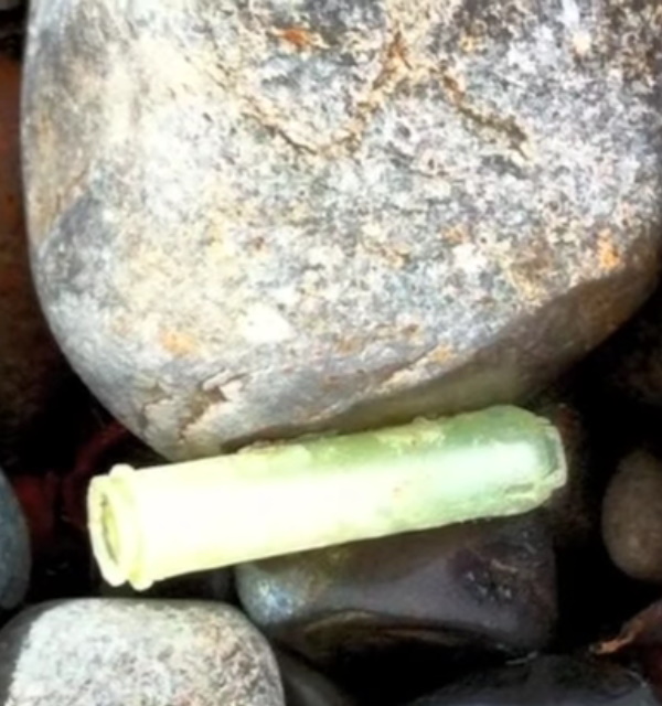 Beach Whistles: Foolishly Flushed Tampon Applicators