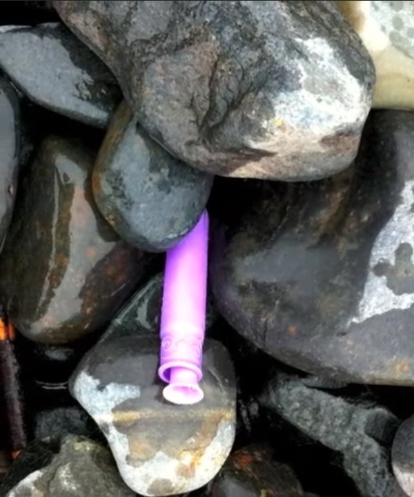 Beach Whistles: Foolishly Flushed Tampon Applicators