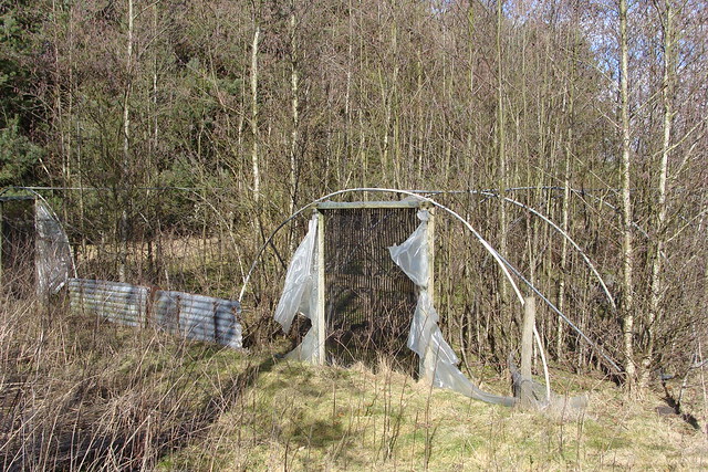 Rootless: Seven Seedy Abandoned Garden Centers