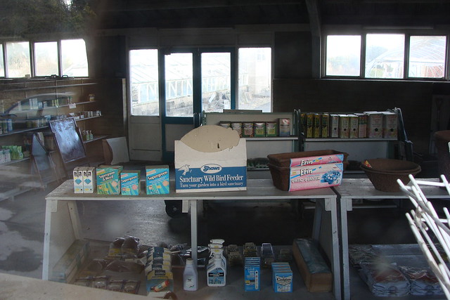Rootless: Seven Seedy Abandoned Garden Centers