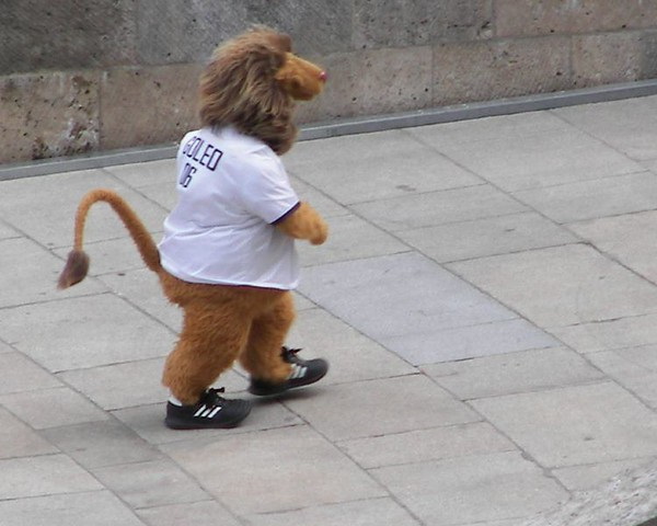 Natural Goal: Amazing Animal Mascots Of The FIFA World Cup Natural Goal: Amazing Animal Mascots Of The FIFA World Cup