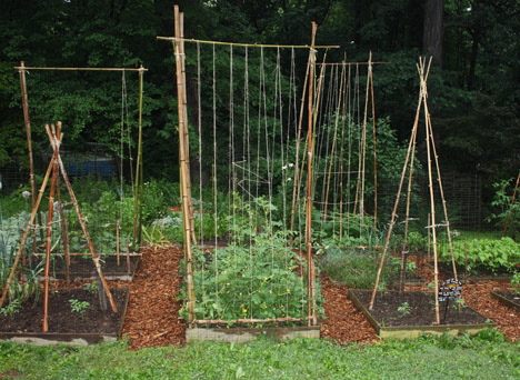 DIY Bamboo Garden Trellis